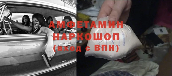 прущие грибы Аркадак