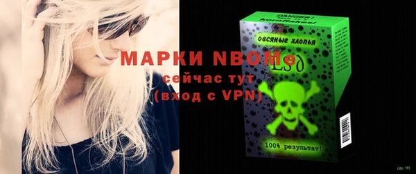 прущие грибы Аркадак