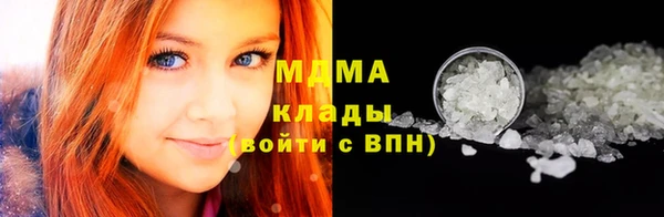 прущие грибы Аркадак