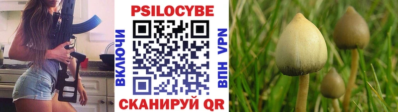 где найти наркотики  Усть-Джегута  Галлюциногенные грибы Cubensis 